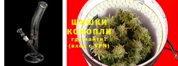 ешки Арсеньев
