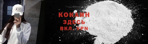 ешки Арсеньев