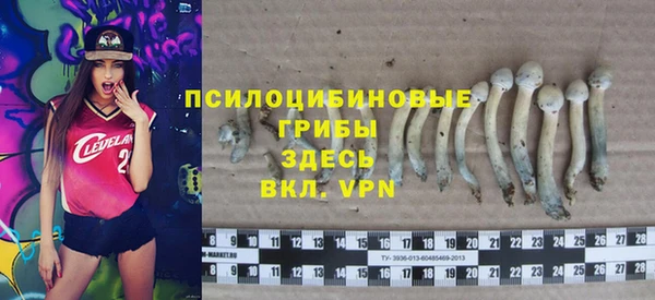 ALPHA PVP Аркадак