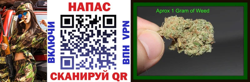 Конопля конопля  как найти   Мамадыш 